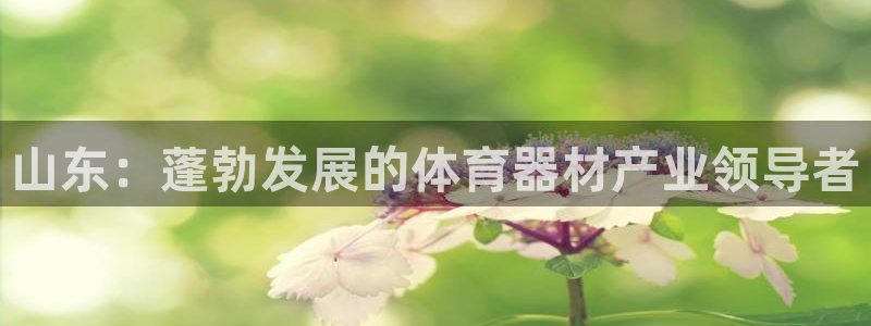 耀世娱乐平台官网登录：山东：蓬勃发展的体育器材产业领