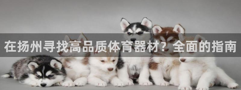 耀世盛典手游：在扬州寻找高品质体育器材？全面的指南