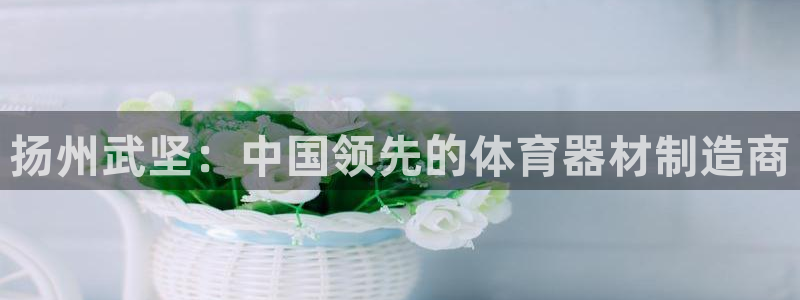 哪吒s耀世版价格：扬州武坚：中国领先的体育器材制造商