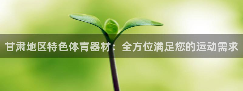 耀世国际集团是国企吗：甘肃地区特色体育器材：全方位满