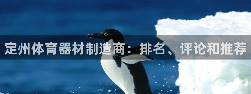 耀世是什么车：定州体育器材制造商：排名、评论和推荐