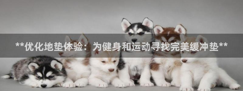 耀世官方网站入口：**优化地垫体验：为健身和运动寻找