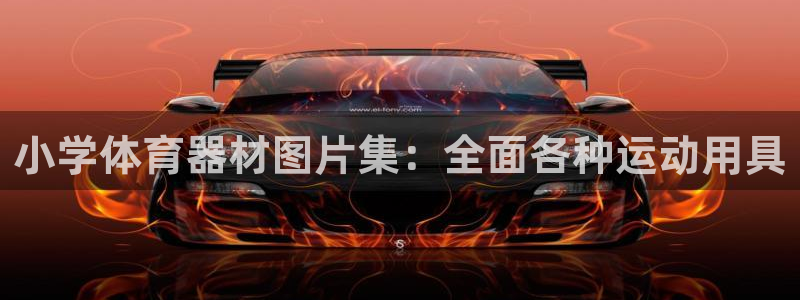 耀世娱乐骗局：小学体育器材图片集：全面各种运动用具