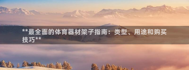 耀世娱乐提款多久到账：**最全面的体育器材架子指南：