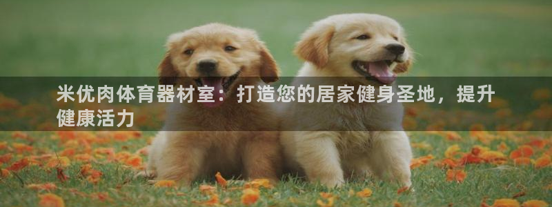 耀世平台物7O777：米优肉体育器材室：打造您的居家