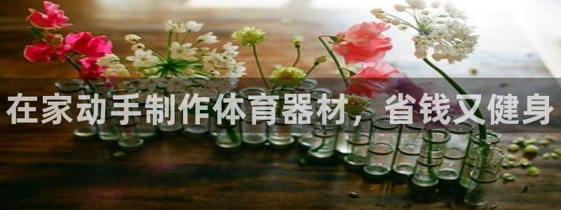耀世集团视频直播是真的吗：在家动手制作体育器材，省钱