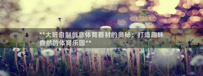 耀世娱乐是正规还是仿真：**大班自制创意体育器材的奥