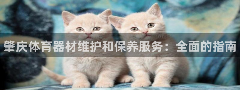 耀世而生什么意思：肇庆体育器材维护和保养服务：全面的