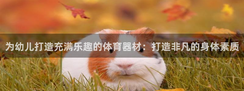 耀世意思是什么：为幼儿打造充满乐趣的体育器材：打造非