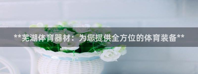 耀世娱乐老板是谁：**芜湖体育器材：为您提供全方位的