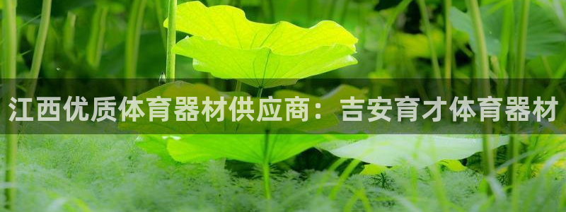耀世娱乐返点：江西优质体育器材供应商：吉安育才体育器