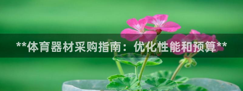 耀世挑战第二关怎么过：**体育器材采购指南：优化性能