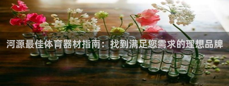 耀世圣主：河源最佳体育器材指南：找到满足您需求的理想