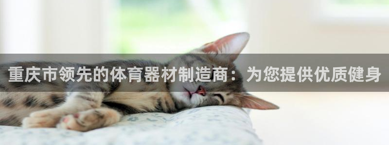 耀世娱乐认择 58534I 娱乐：重庆市领先的体育器