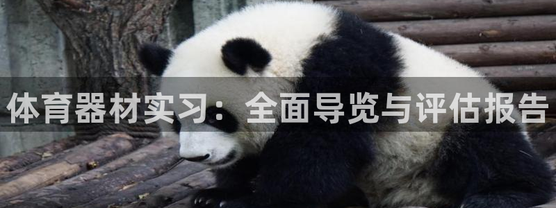 耀世娱乐注册：体育器材实习：全面导览与评估报告