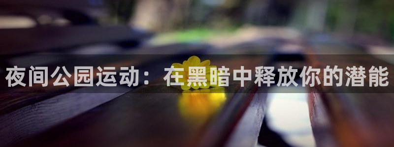 耀世娱乐平台官网首页：夜间公园运动：在黑暗中释放你的