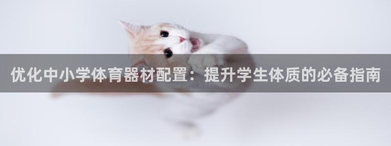 耀世平台总代理在哪：优化中小学体育器材配置：提升学生