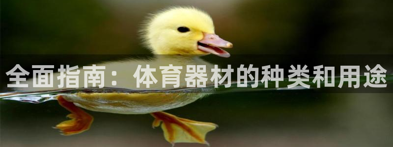 耀世平台注册流程：全面指南：体育器材的种类和用途