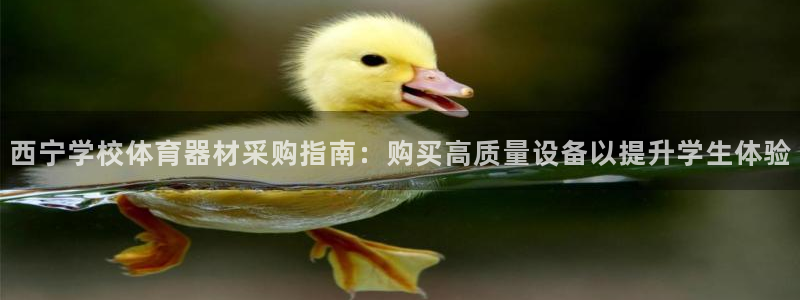 耀世娱乐app下载官网：西宁学校体育器材采购指南：购