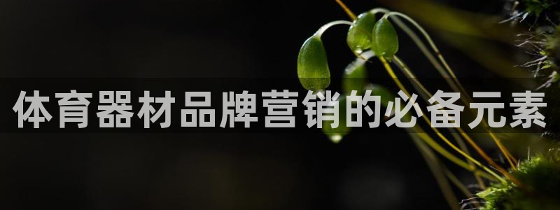 耀世娱乐招商注册 知乎：体育器材品牌营销的必备元素