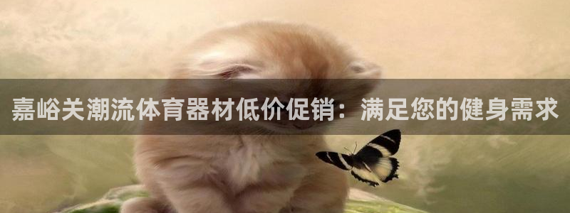 耀世娱乐腾讯分分彩代理联系方式：嘉峪关潮流体育器材低