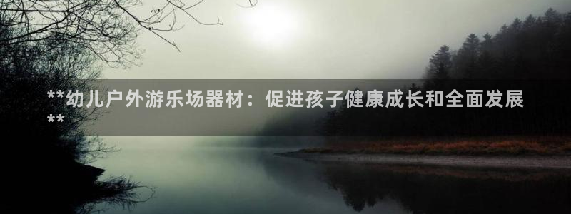 耀世娱乐平台注册地址：**幼儿户外游乐场器材：促进孩