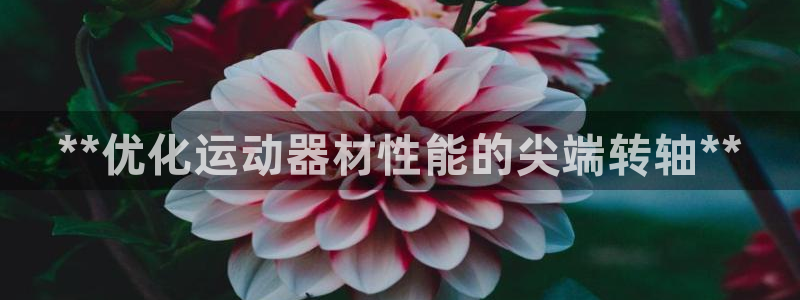耀世娱乐：**优化运动器材性能的尖端转轴**
