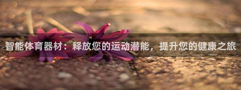 耀世x4：智能体育器材：释放您的运动潜能，提升您的健