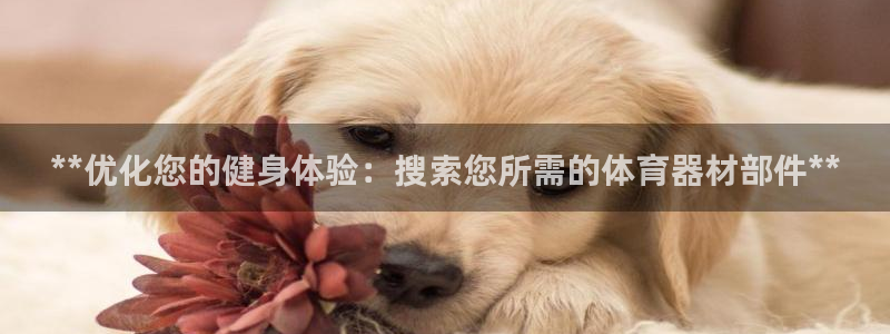 耀世娱乐招商注册 知乎账号：**优化您的健身体验：搜