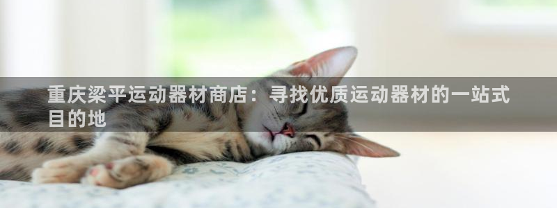 耀世平台产7O777：重庆梁平运动器材商店：寻找优质