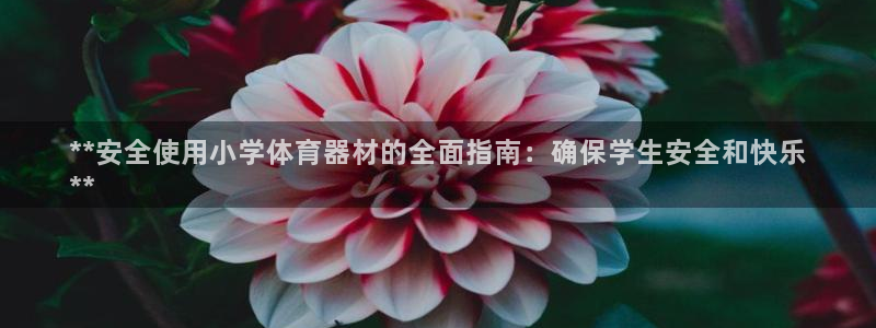 耀世集团是干嘛的企业啊：**安全使用小学体育器材的全
