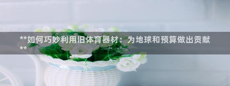 耀世娱乐老板：**如何巧妙利用旧体育器材：为地球和预
