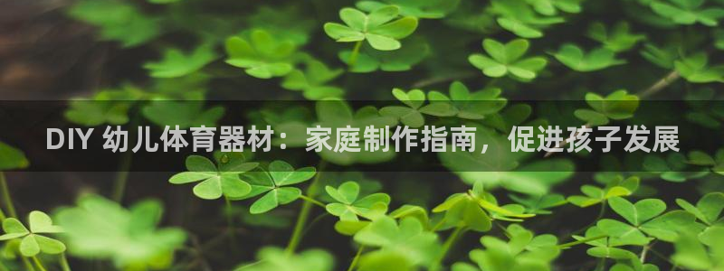耀世娱乐提现失败怎么办：DIY 幼儿体育器材：家庭制