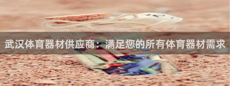 耀世平台注册流程图片：武汉体育器材供应商：满足您的所