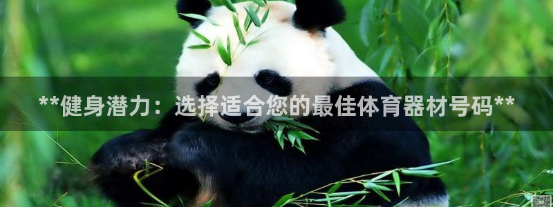 耀世娱乐如何登录平台账户：**健身潜力：选择适合您的