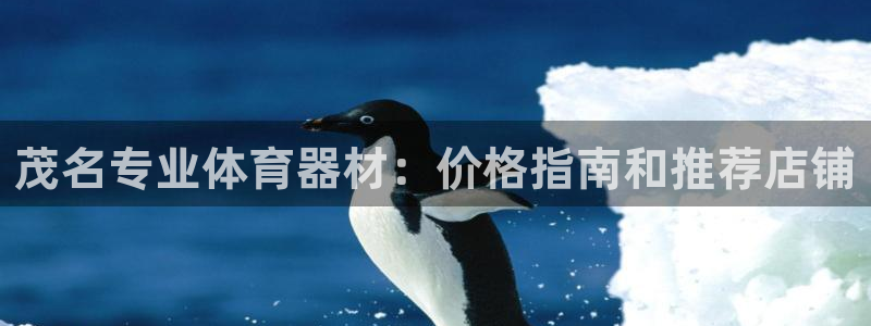 耀世楼盘：茂名专业体育器材：价格指南和推荐店铺