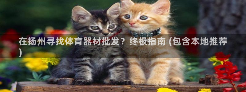 耀世娱乐是不是赚钱了：在扬州寻找体育器材批发？终极指