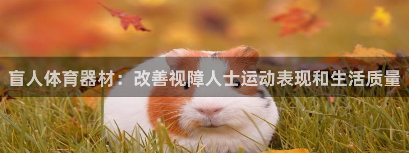 耀世平台登录地址是什么：盲人体育器材：改善视障人士运