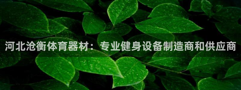 耀世娱乐黑钱吗是真的吗：河北沧衡体育器材：专业健身设