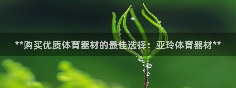 耀世娱乐含山县：**购买优质体育器材的最佳选择：亚玲