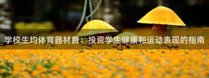 耀世微光mv：学校生均体育器材费：投资学生健康和运动
