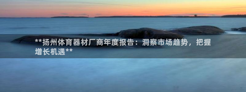 耀世集团董事长抖音是谁：**扬州体育器材厂商年度报告