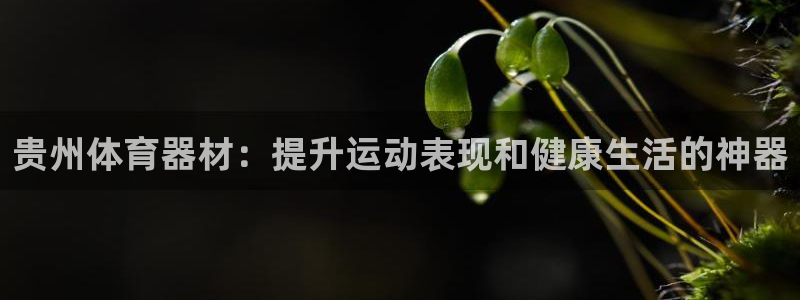 耀世娱乐平台注册地址在哪里看：贵州体育器材：提升运动