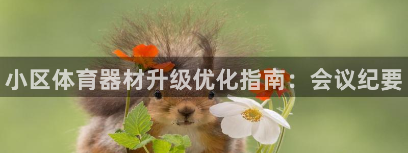 耀世挑战第三关怎么过：小区体育器材升级优化指南：会议