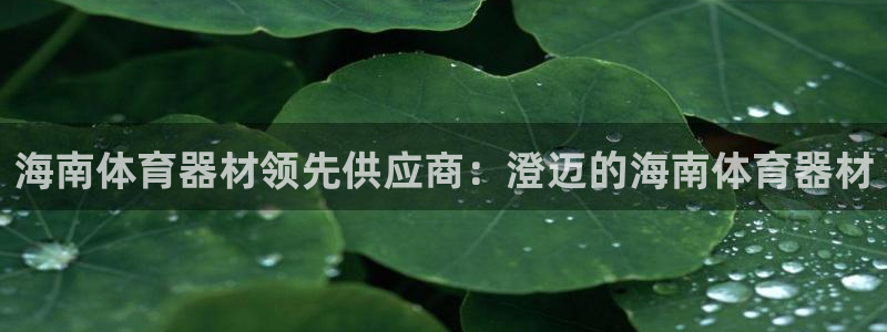 耀世游戏：海南体育器材领先供应商：澄迈的海南体育器材