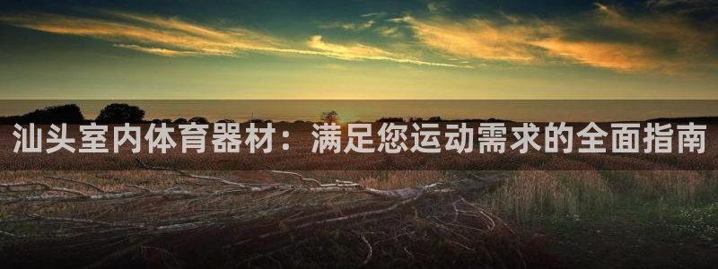 耀世娱乐认择 58534I 娱乐：汕头室内体育器材：