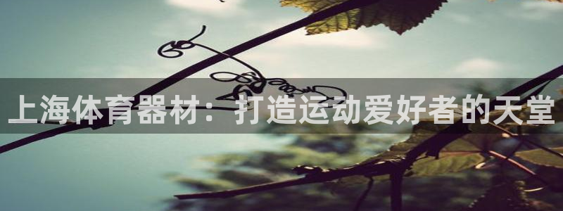 耀世平台皮皮虾怎么样：上海体育器材：打造运动爱好者的