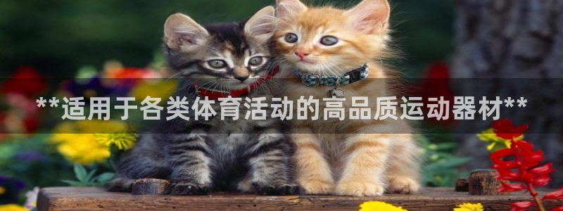 耀世娱乐客服：**适用于各类体育活动的高品质运动器材