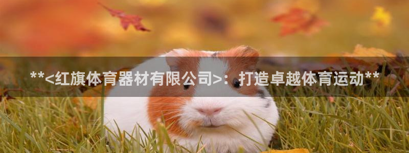 耀世来袭什么意思：**<红旗体育器材有限公司>：打造