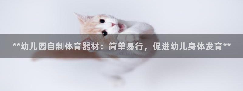 耀世集团：**幼儿园自制体育器材：简单易行，促进幼儿